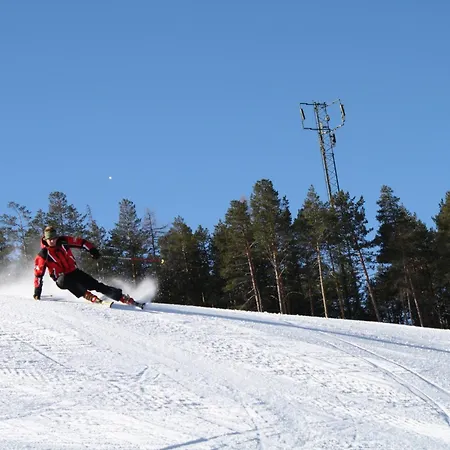 Falkner Manuel * Niederthai